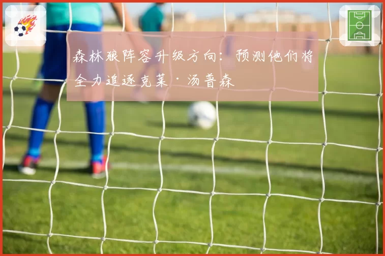森林狼阵容升级方向:预测他们将全力追逐克莱·汤普森