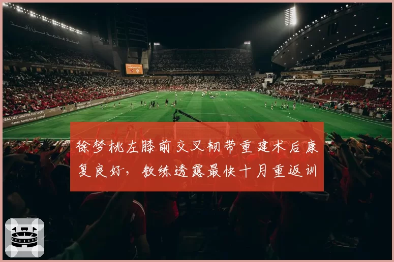 徐梦桃左膝前交叉韧带重建术后康复良好,教练透露最快十月重返训练场