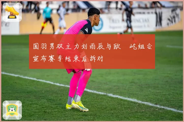 国羽男双主力刘雨辰与欧烜屹组合宣布赛季结束后拆对