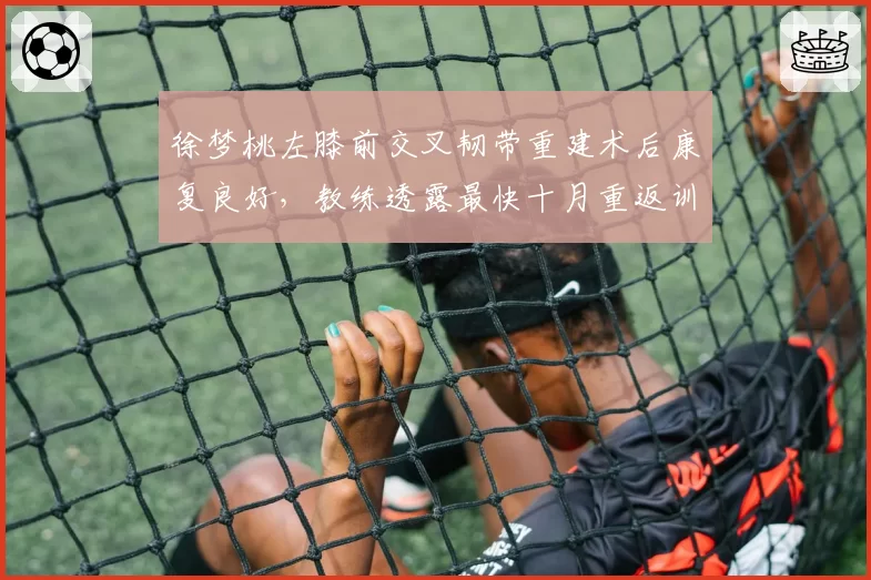 徐梦桃左膝前交叉韧带重建术后康复良好,教练透露最快十月重返训练场