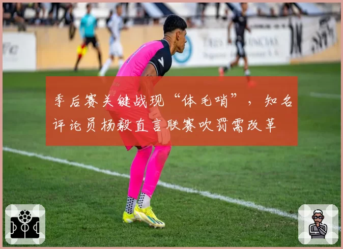 季后赛关键战现“体毛哨”,知名评论员杨毅直言联赛吹罚需改革